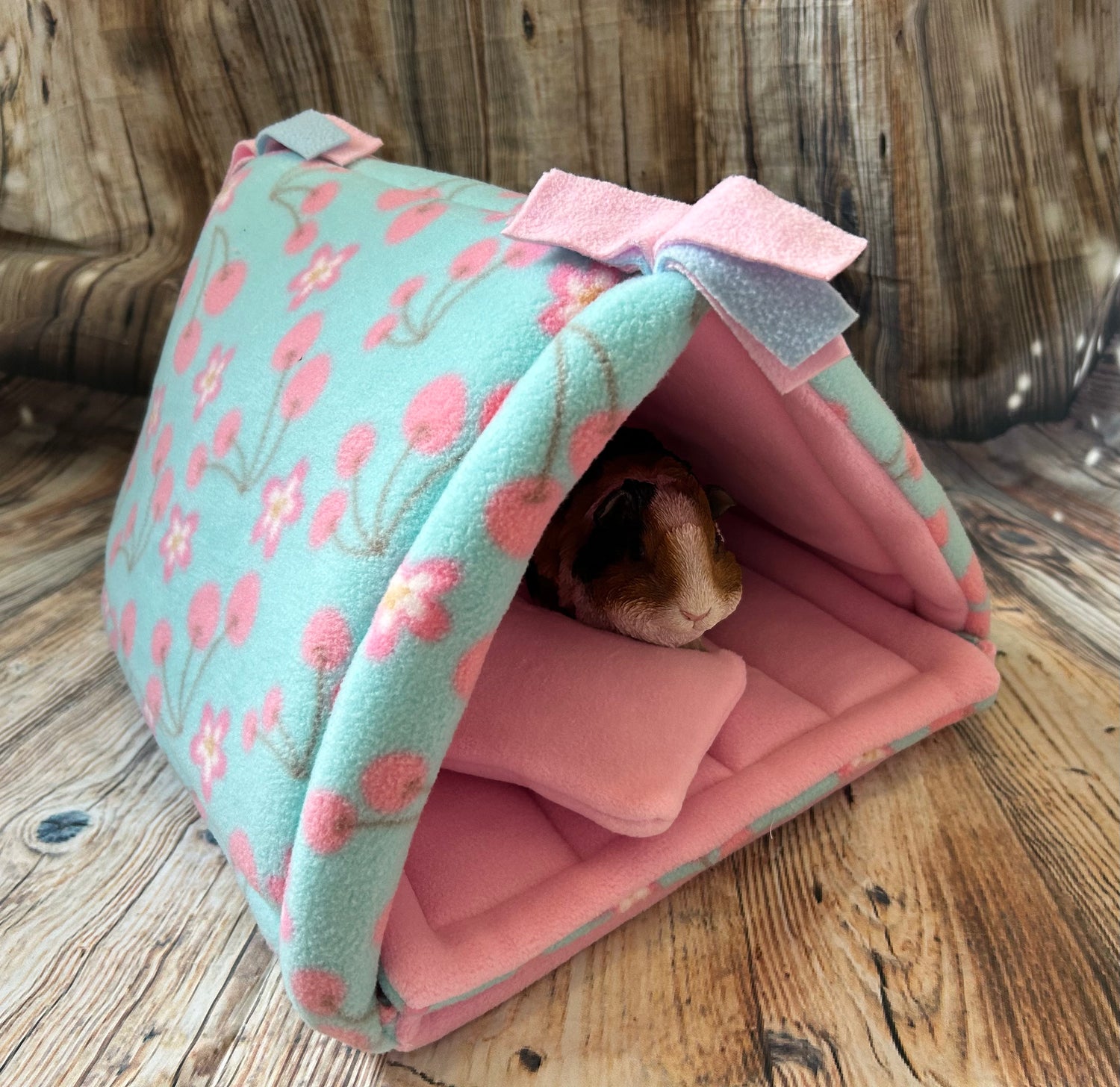 Guinea Pig Glamping Tent