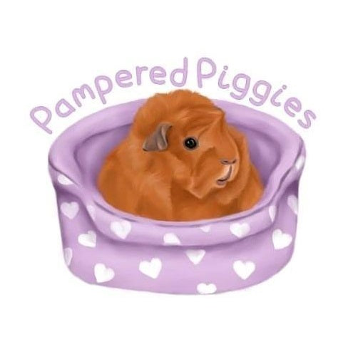 Pampered Piggies Boutique